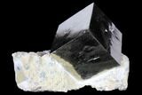 Shiny, Natural Pyrite Cube In Rock - Navajun, Spain #131107-1